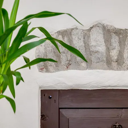 Old Hanza דירה טאלין